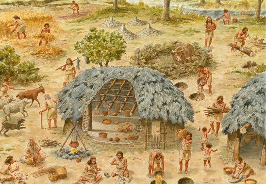 Caracteristiques de la societat