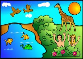 The Creation