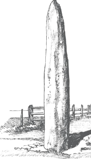 Els Menhirs