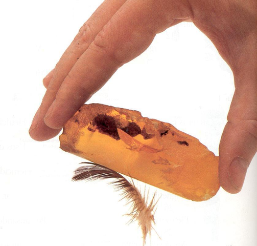 Experimentos de Tales de Mileto