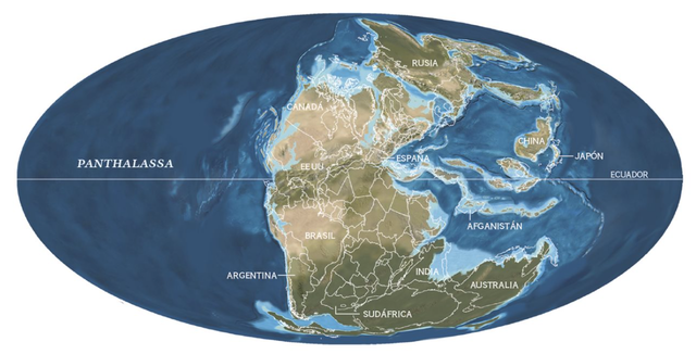 335 millones de años