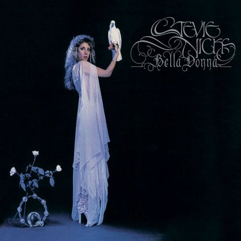 Stevie's Solo Career