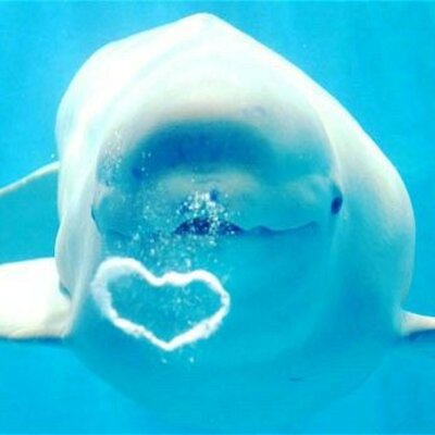 Timeline: Hitos e inventos 8D