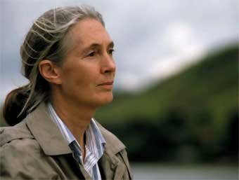 Jane Goodall
