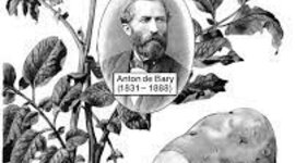 Timeline: FITOPATOLOGIA-Daniel Rios