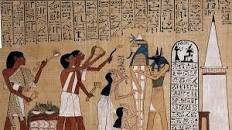 utilizacion de conceptos de adm