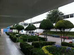 EDUCACIÓN MEDIA SUPERIOR