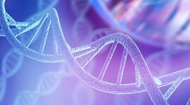 Timeline: ADN timeline