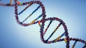 Discovery of DNA components