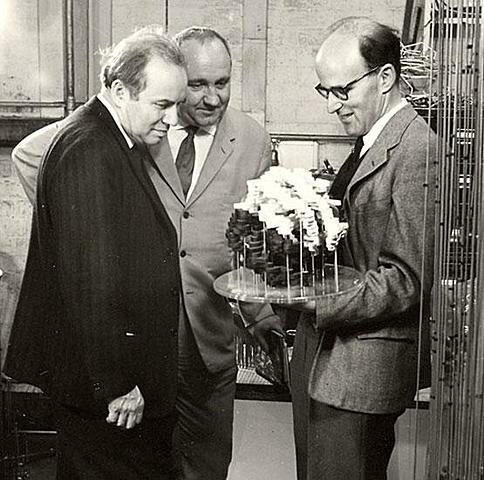 DNA is the carrier of biological information - Avery, MacLeod and McCarty