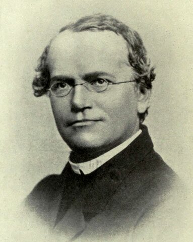 Laws of inheritance - Gregor Mendel