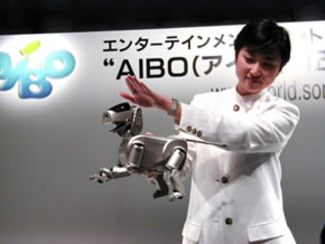 Aibo