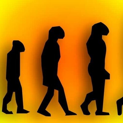 Timeline: L'EVOLUCIÓ