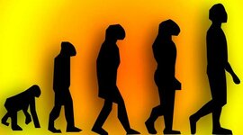 Timeline: L'EVOLUCIÓ