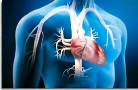 Organos artificiales