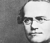 G. MENDEL