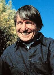 Sistema adaptativo complejo