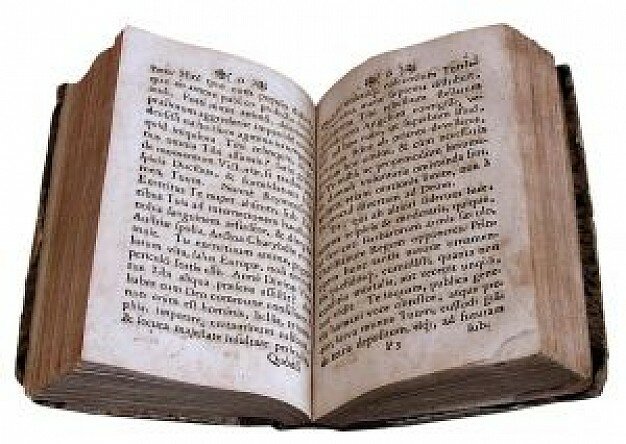 Descobriment de la Morsia