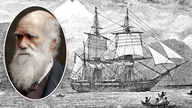 EXPEDICIONES DE CHARLES DARWIN EN EL BEAGLE