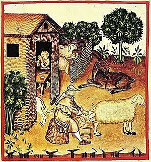 Feudalismo