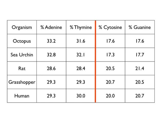 Counting Nucleobases