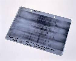 DNA Testing/Fingerprinting