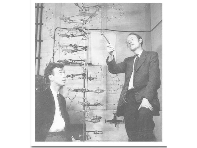 A Structure for Deoxyribose Nucleic Acid