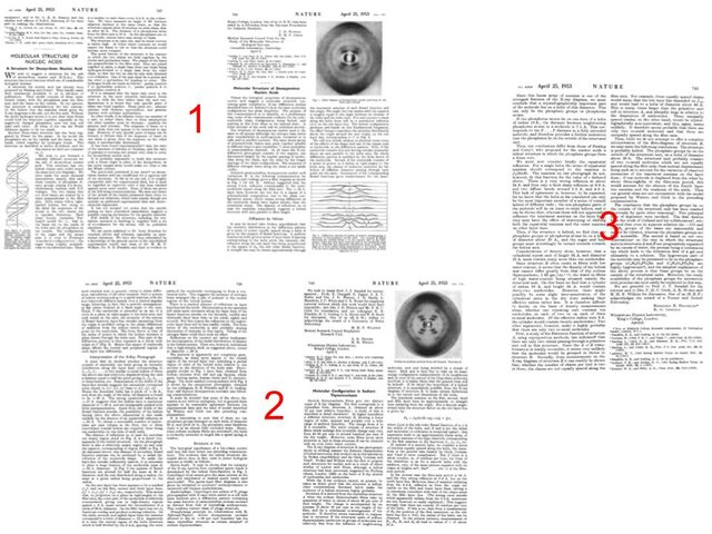 3 Papers Describing the Structure of DNA