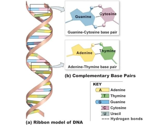 Nowadays we know that...
