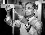 Discovery of the DNA's components