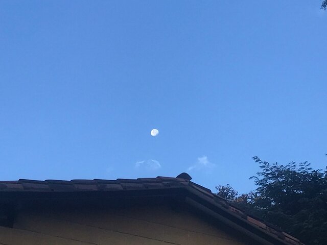 I get used to studying in the morning