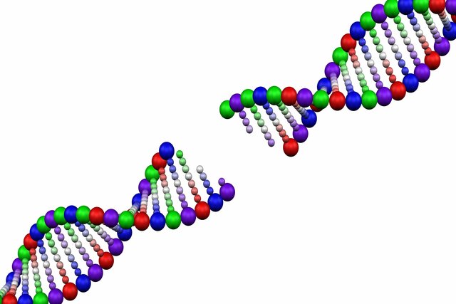 DNA