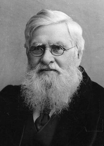 Alfred Russel Wallace