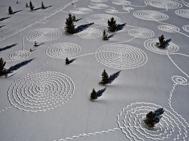 Land art (a partir de 1960)