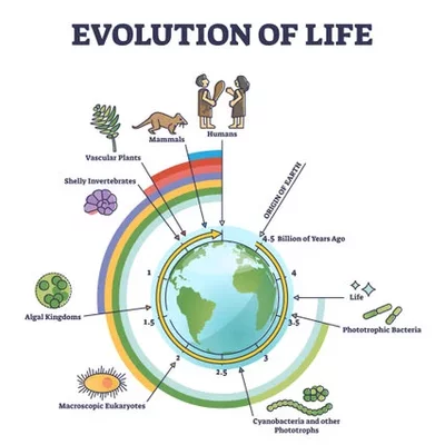 Timeline: Origen de la vida