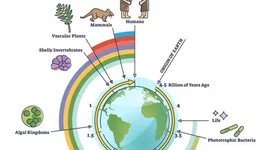 Timeline: Origen de la vida