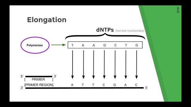 Chain termination method