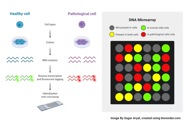 Microarray tecnology