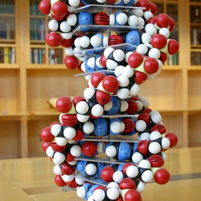 Timeline: Biology time line