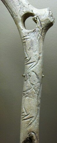 Bastó de Comandament