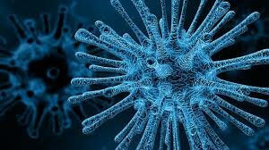 PRIMERA VISUALIZACIÓN DE UN VIRUS