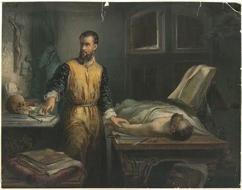 La dissection, une avancée médicale