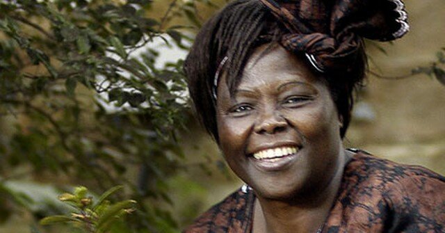 Wangari Maathai (1940-2011)