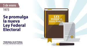 Nueva Ley Electoral Federal.