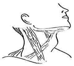 9. Clasificación de las enfermedades
