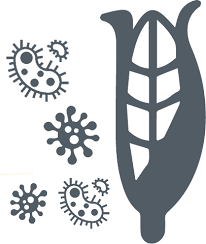 10. Enfermedad y Fitopatología.