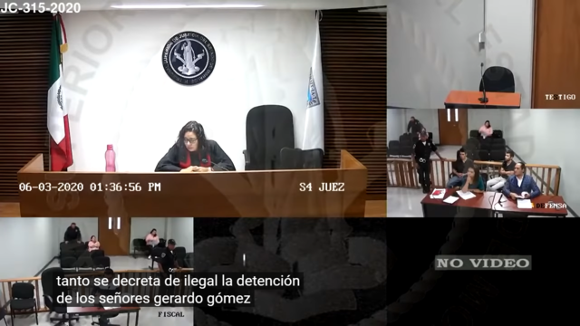 12. El juez de control resuelve la detención