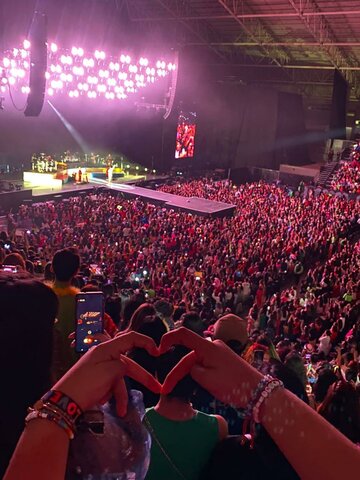 concierto de Harry Styles