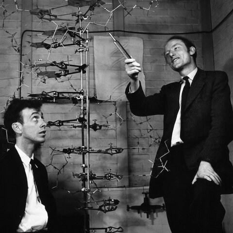 Maurice Wilkins, Watson and Crick, Rosalind Franklin and Photo 51