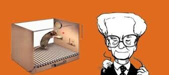 Frederic Skinner (1904-1990)El condicionamiento operante  o instrumental ,(Arancibia. 1997. Sp)